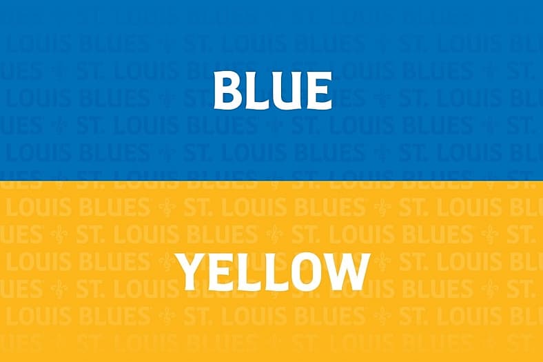 Via @stlouisblues on Instagram