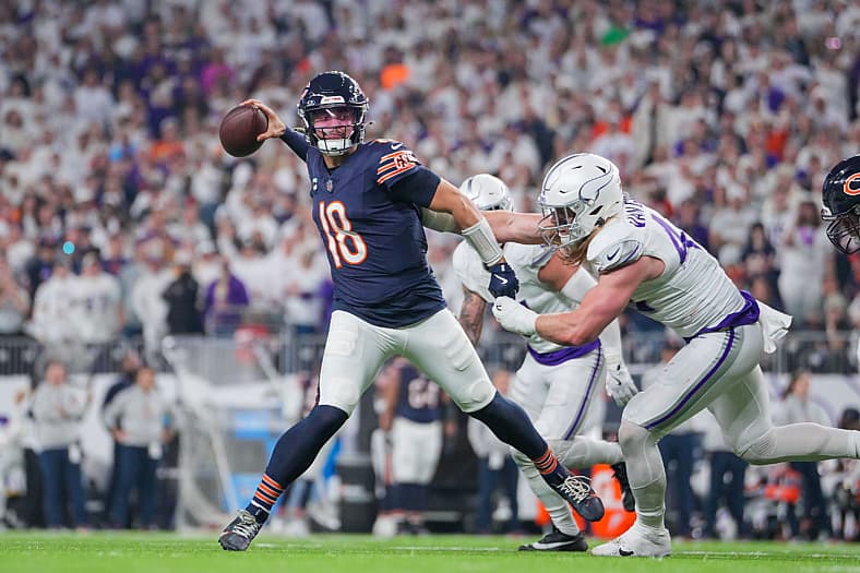 Vikings predictions