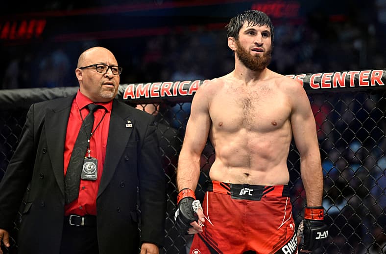 ufc light heavyweight rankings