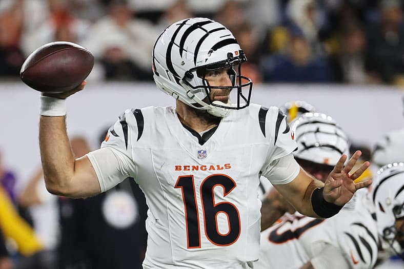 NFL: Pittsburgh Steelers at Cincinnati Bengals