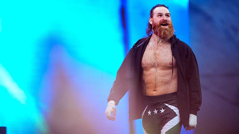 sami zayn
