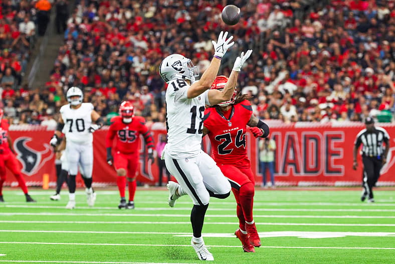 NFL: Las Vegas Raiders at Houston Texans