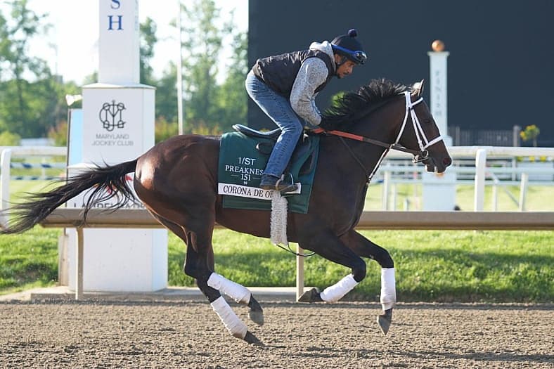 preakness stakes