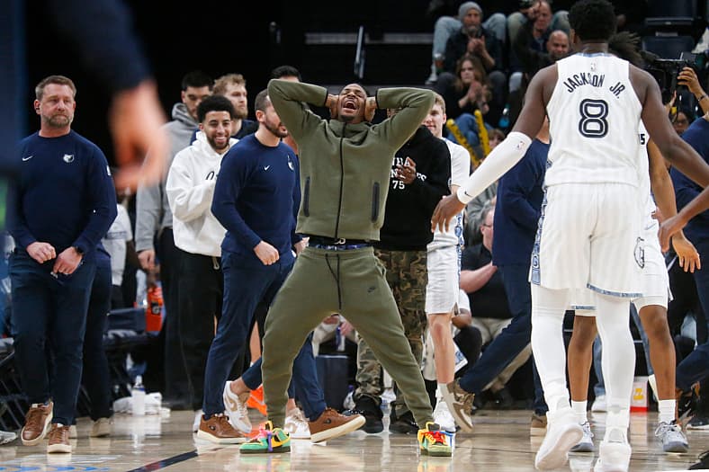 timberwolves