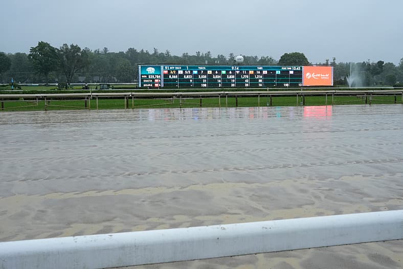 belmont stakes