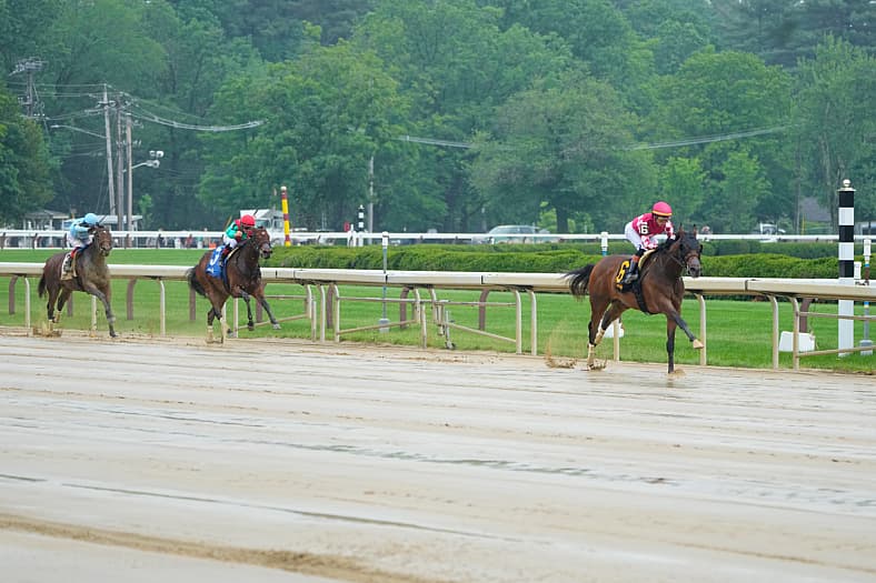 belmont stakes