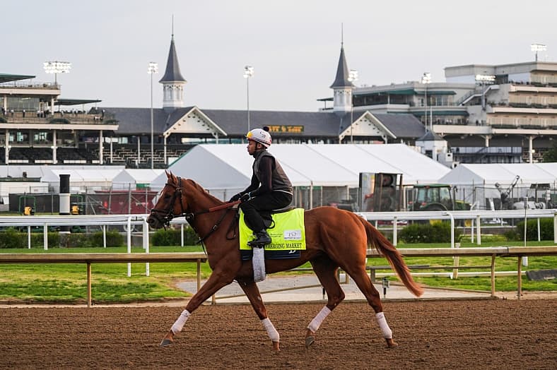 belmont stakes