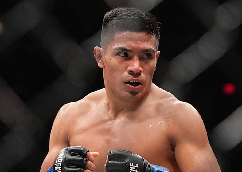 ufc flyweight rankings
