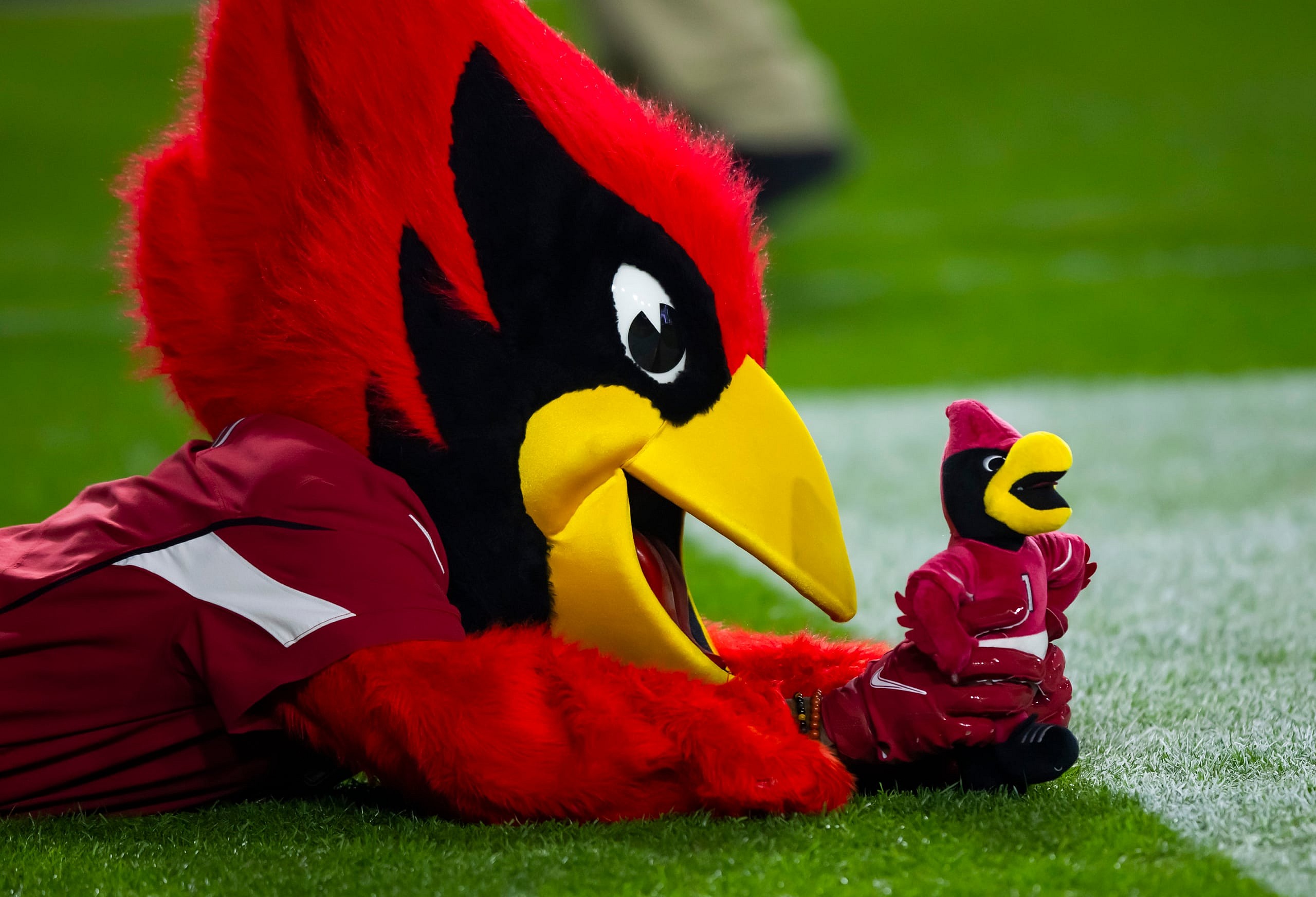 NFL: New England Patriots at Arizona Cardinals