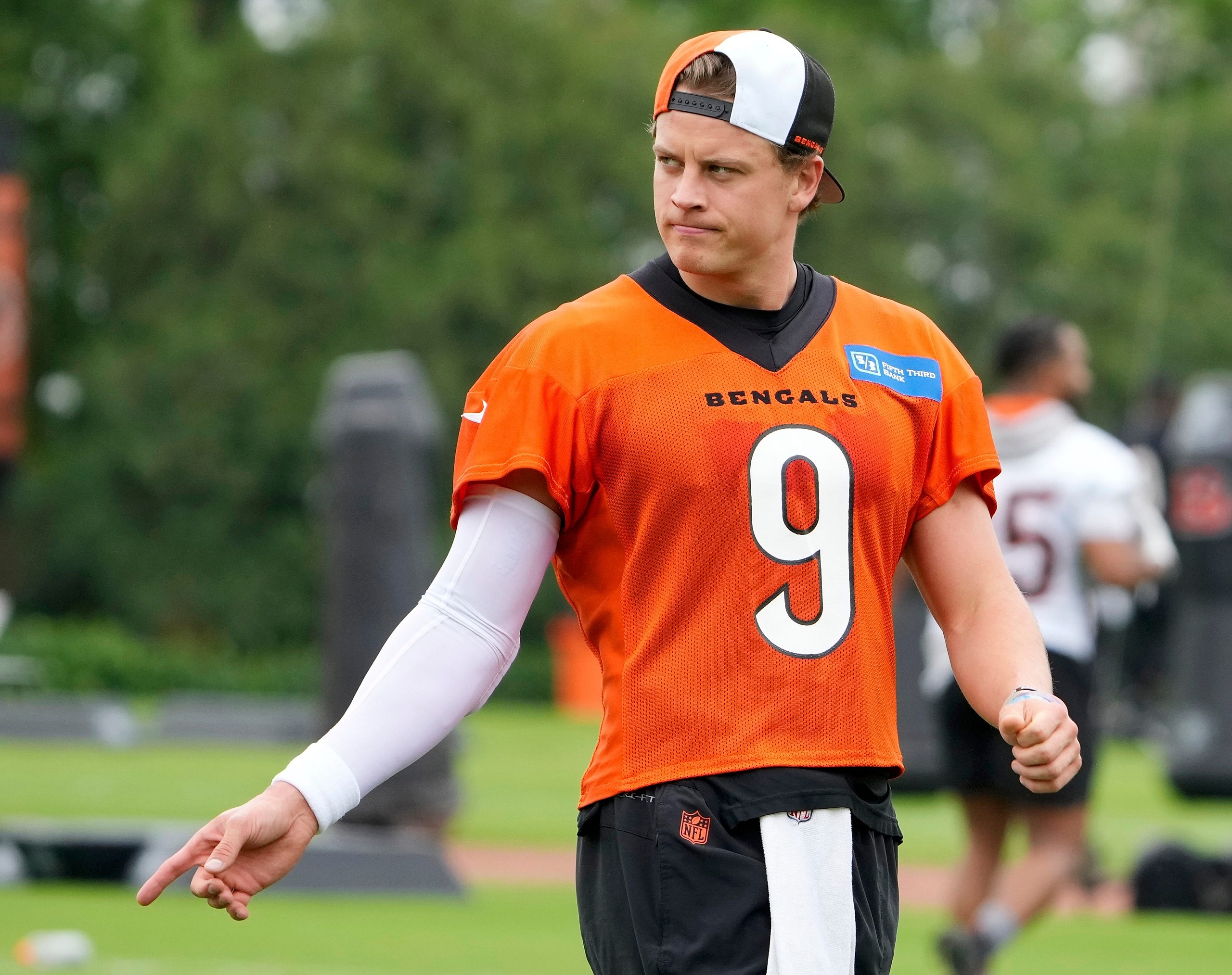 cincinnati bengals