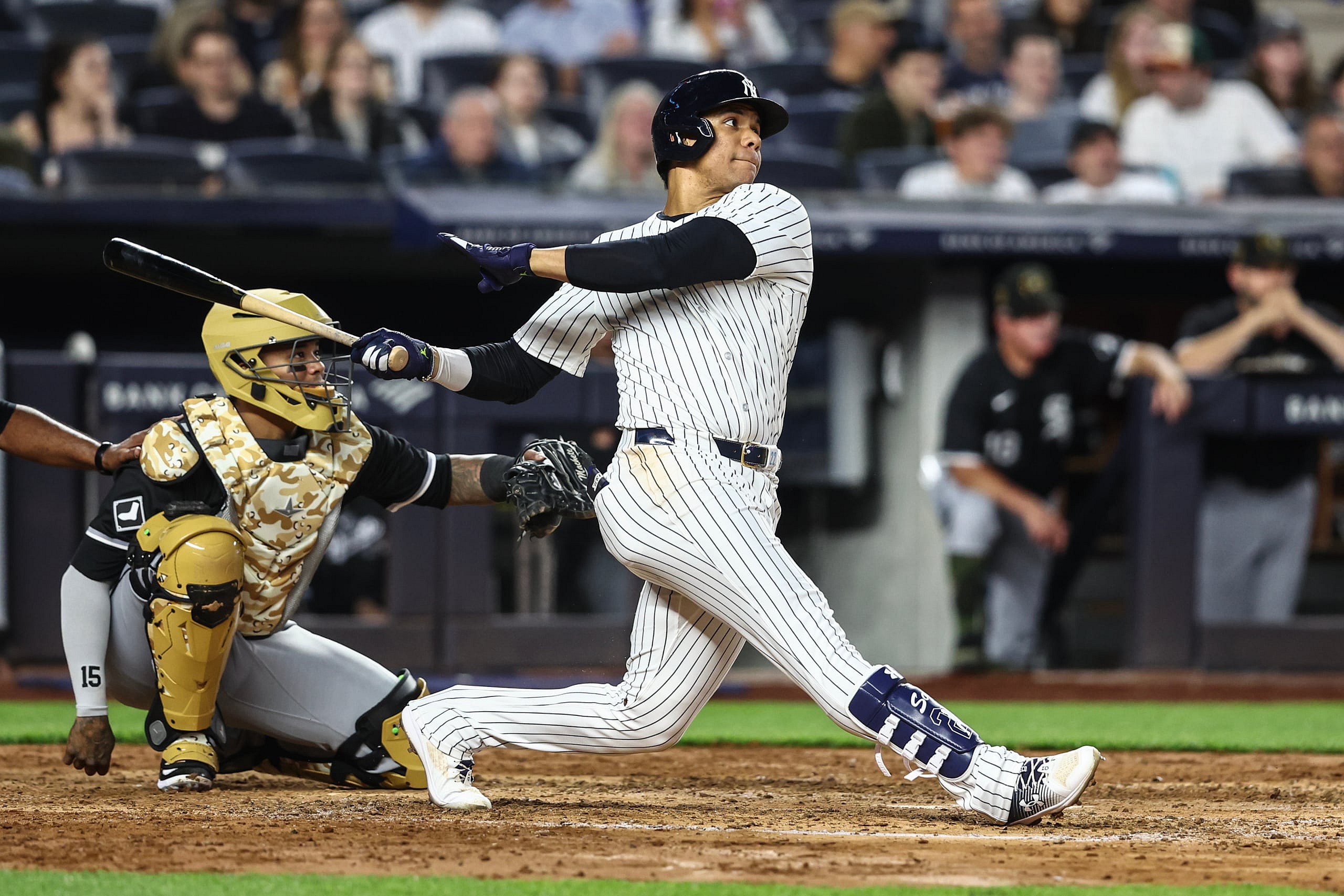 Juan Soto New York Yankees American League MVP