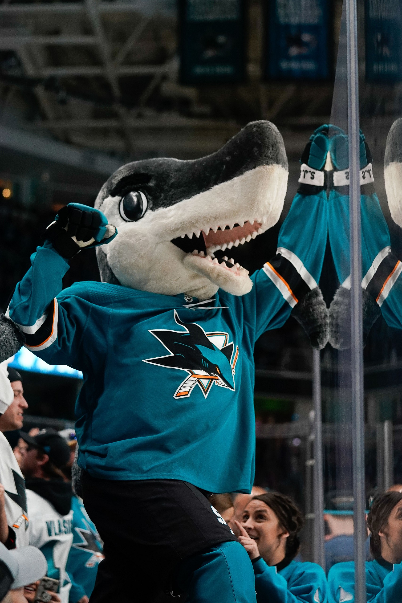 NHL: Dallas Stars at San Jose Sharks
