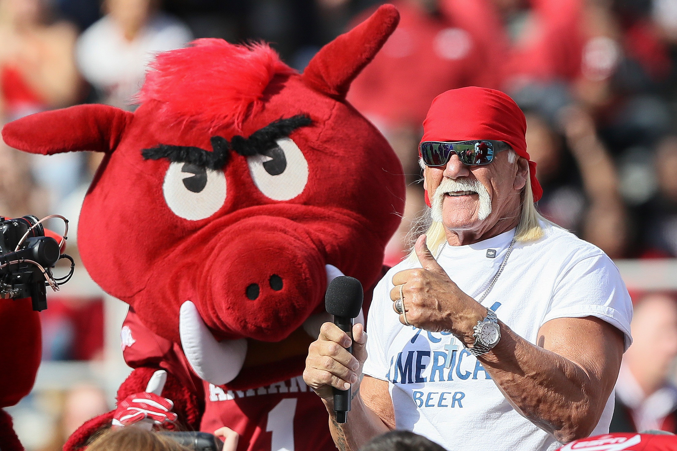 Hulk Hogan