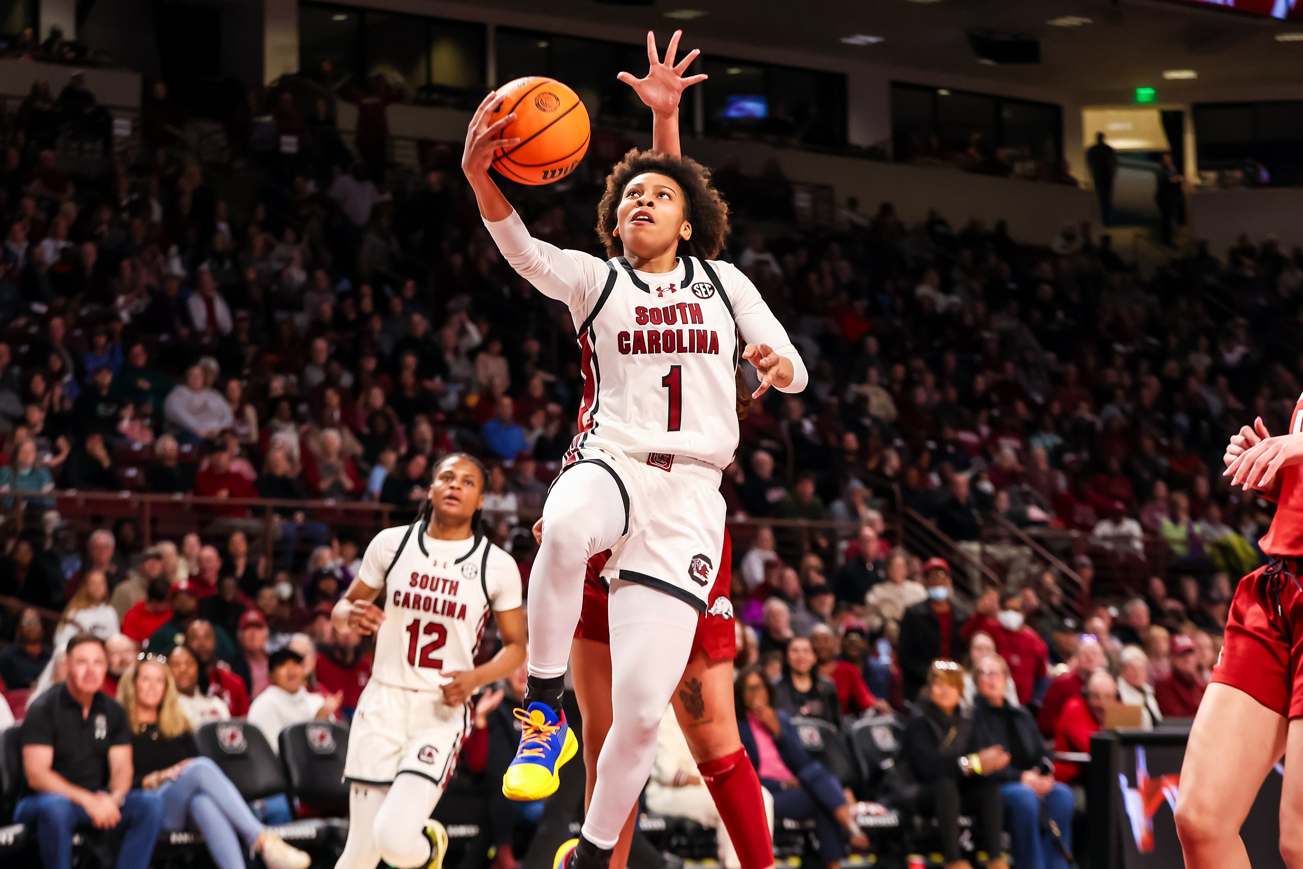 South Carolina Gamecocks