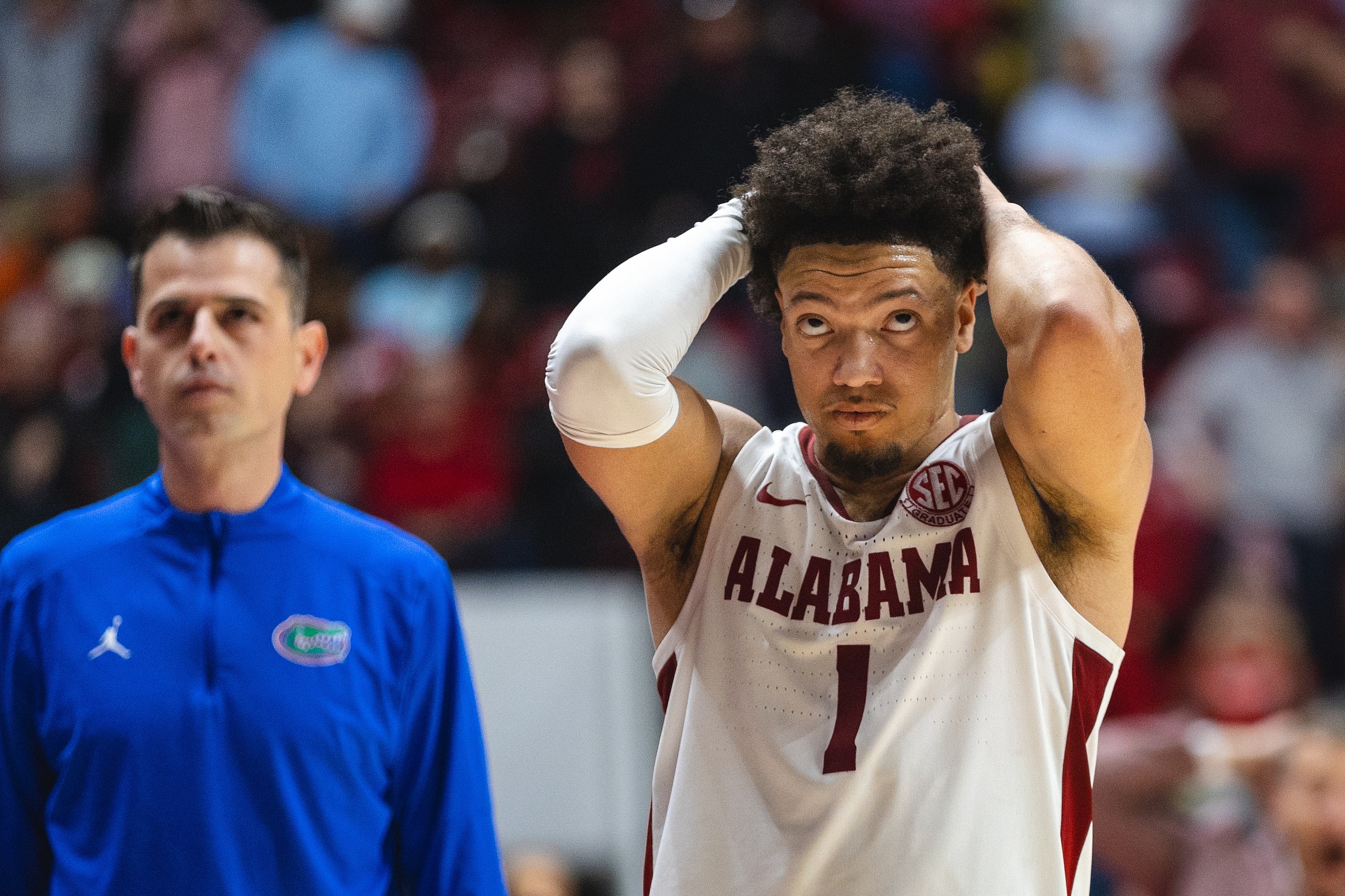 Alabama Crimson Tide