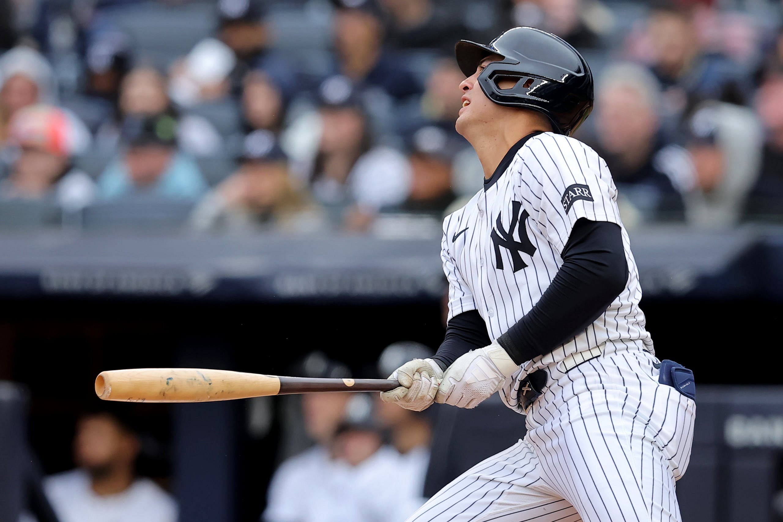 Anthony Volpe, New York Yankees