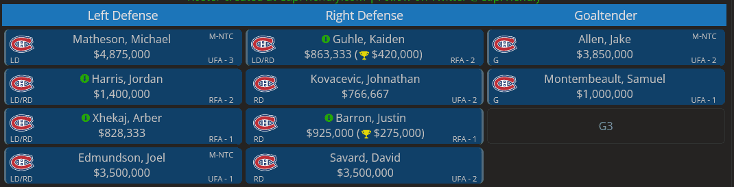 Canadiens defence and goalie projected