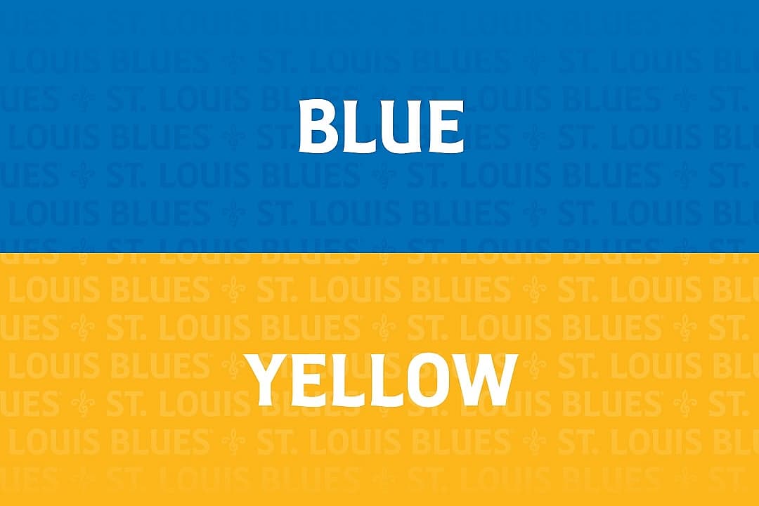 Via @stlouisblues on Instagram