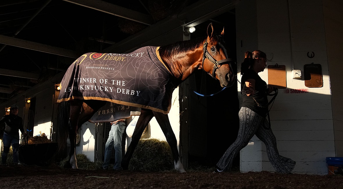 kentucky derby horses