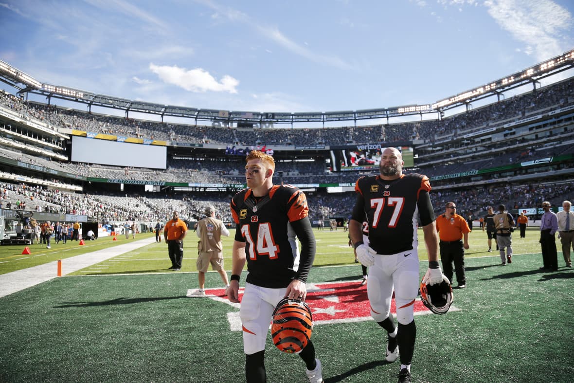 cincinnati bengals