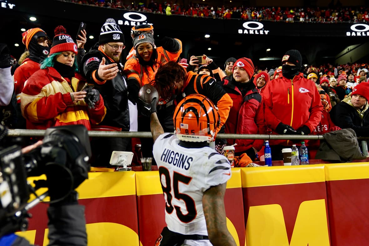 cincinnati bengals