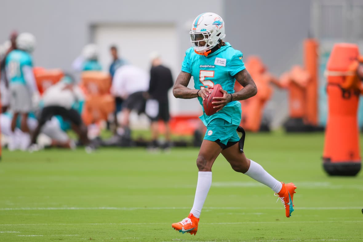 miami dolphins