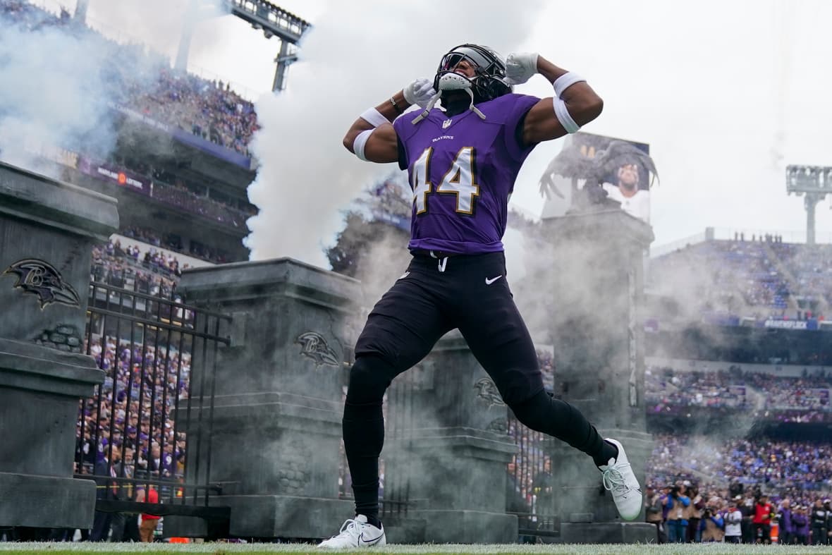 baltimore ravens