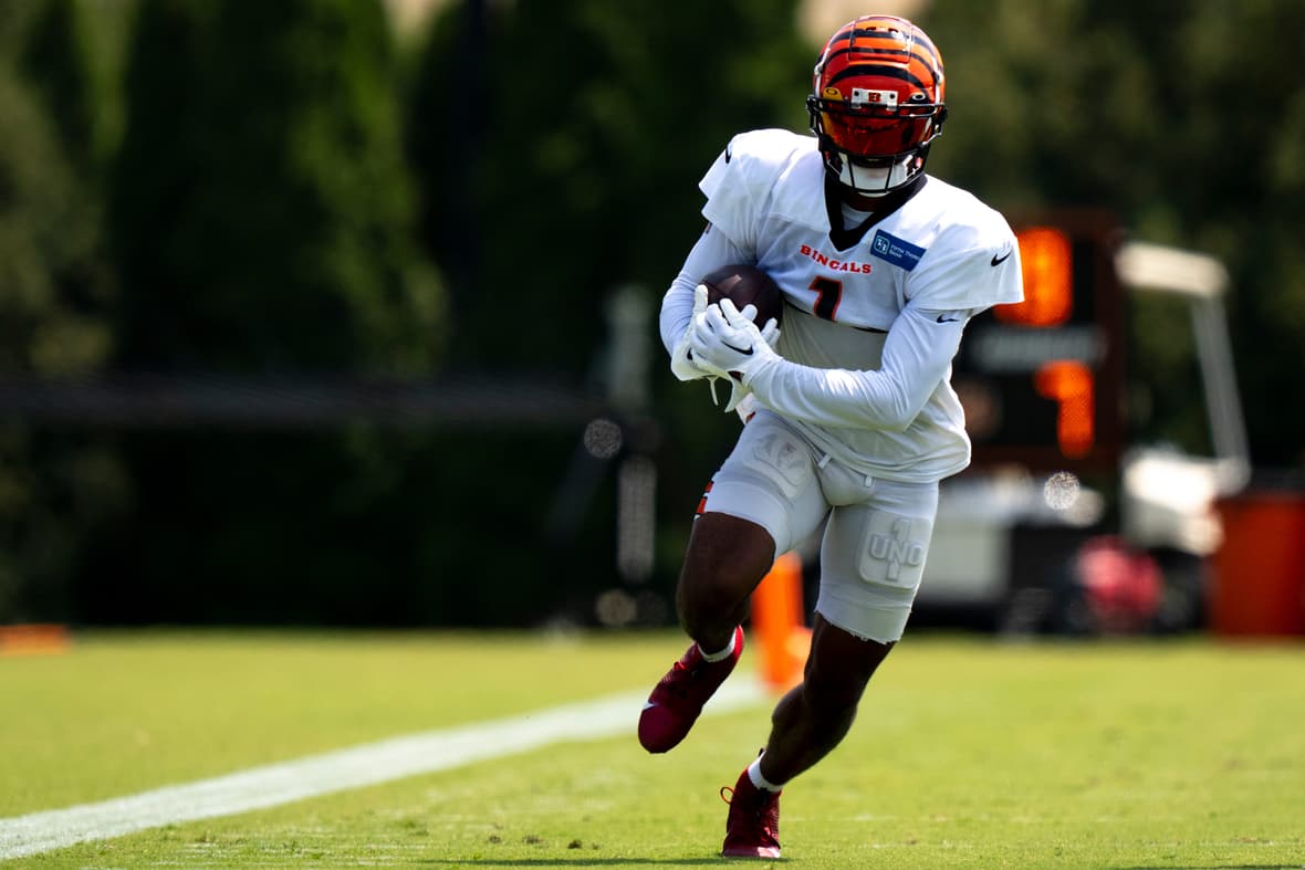 cincinnati bengals