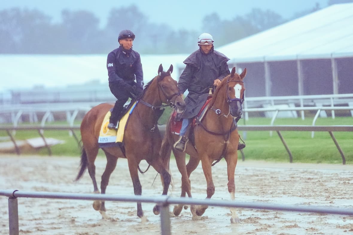 preakness stakes