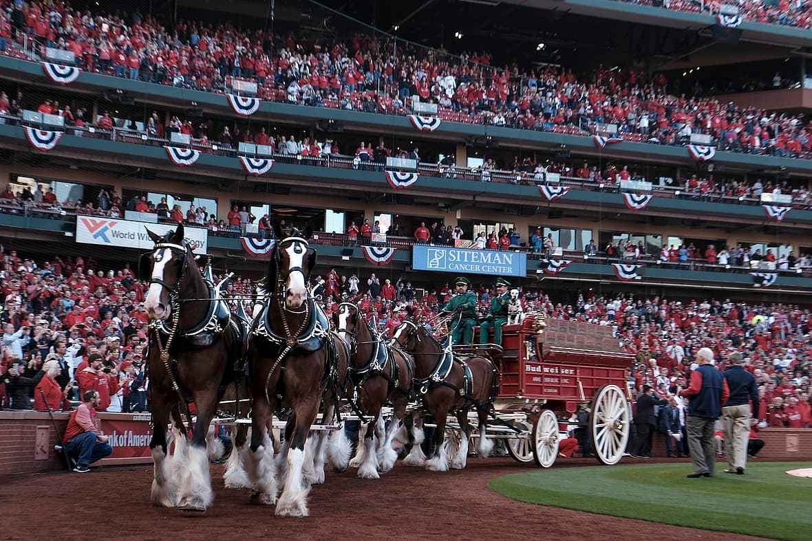 St. Louis Cardinals