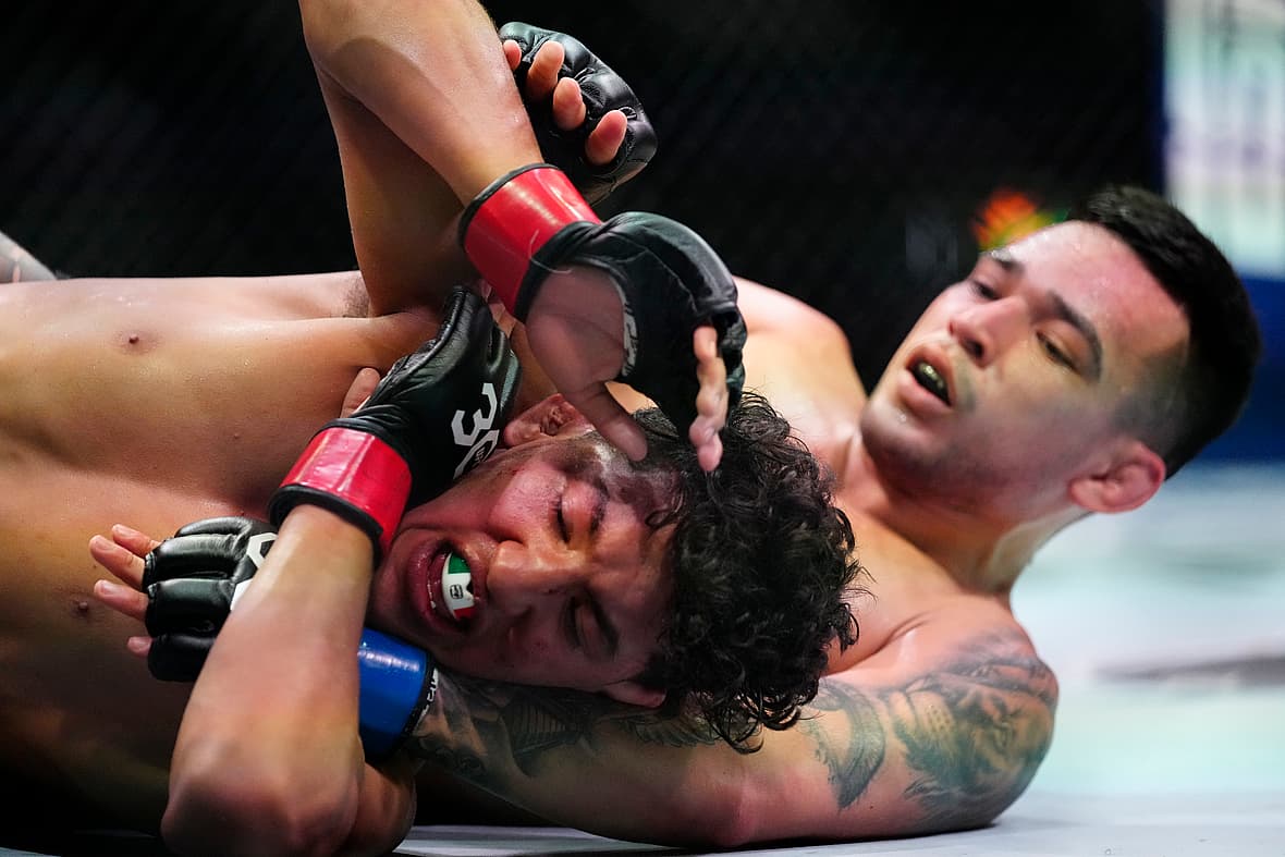 ufc fighters