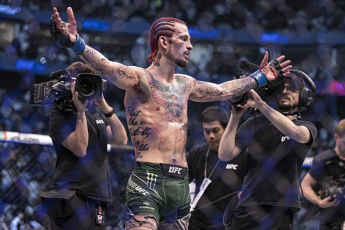 ufc fights