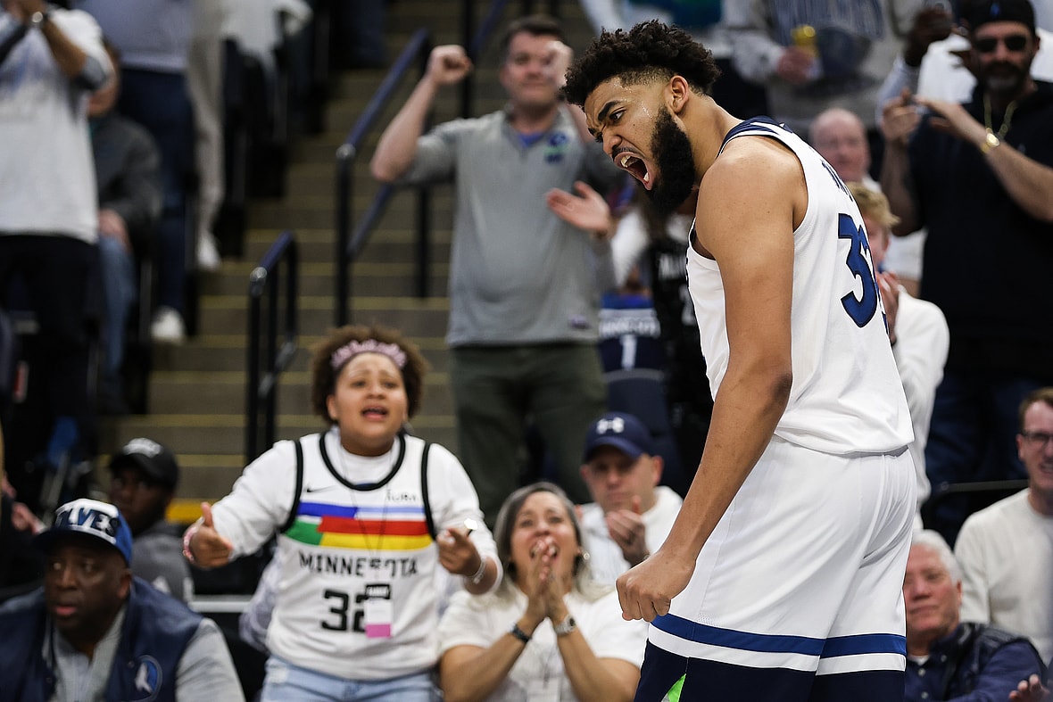 minnesota timberwolves