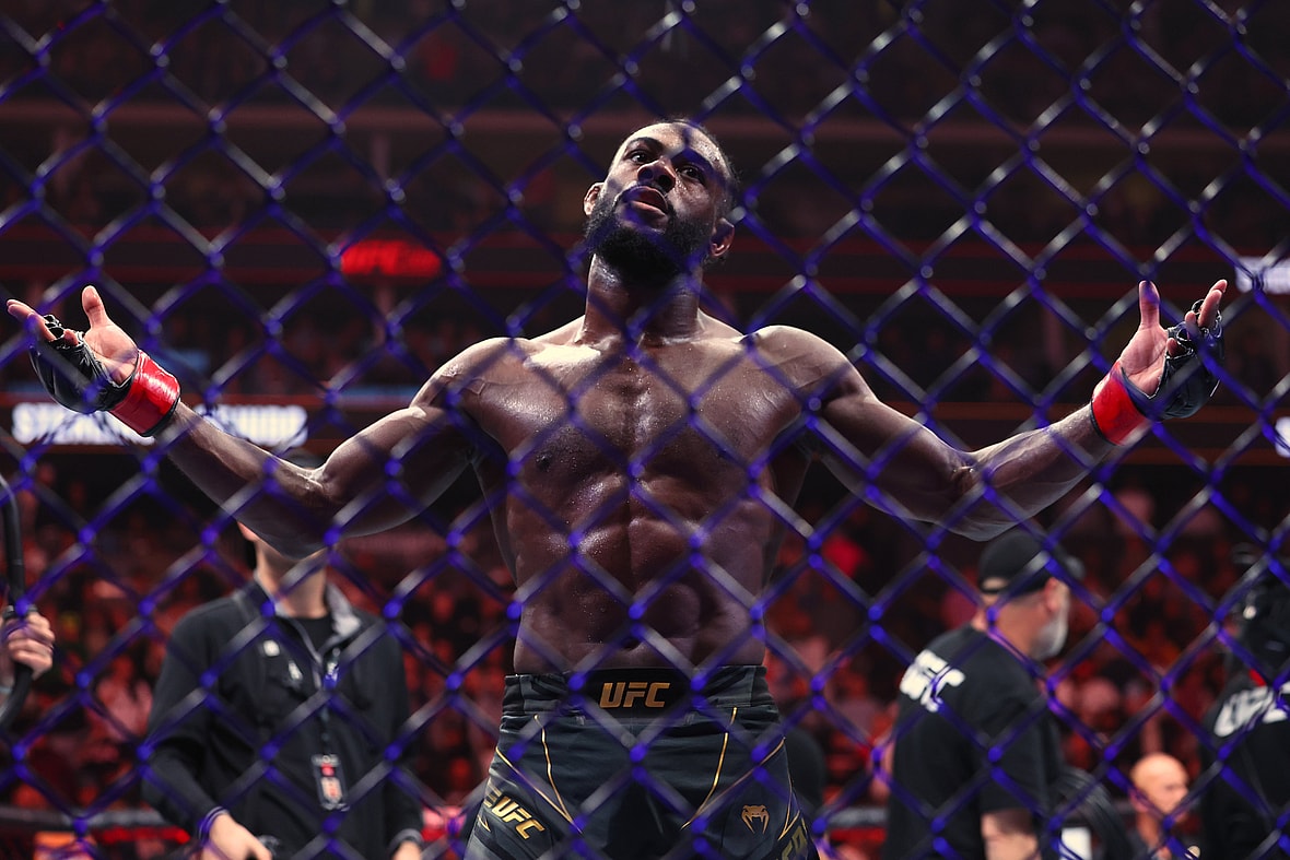 demetrious johnson, aljamain sterling