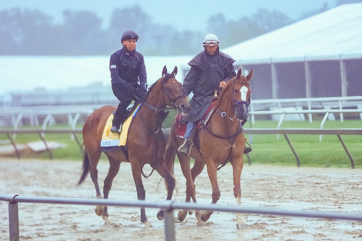 preakness stakes