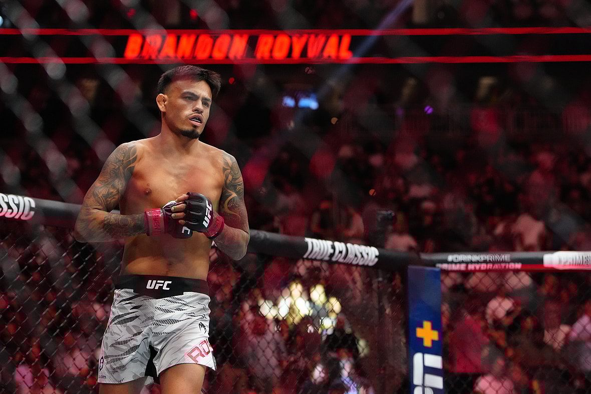 ufc flyweight rankings