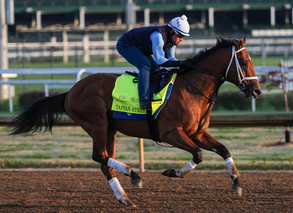 kentucky derby horses