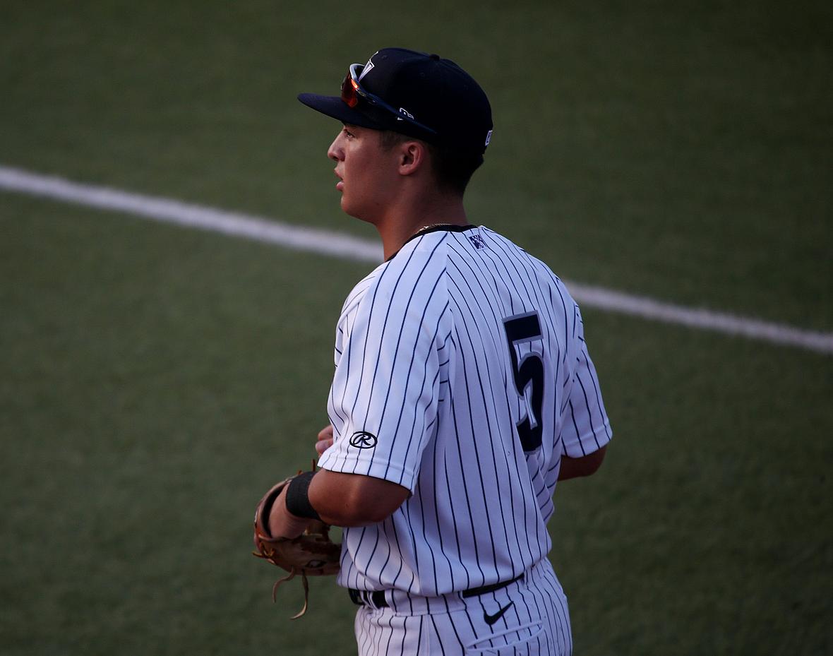 new york yankees