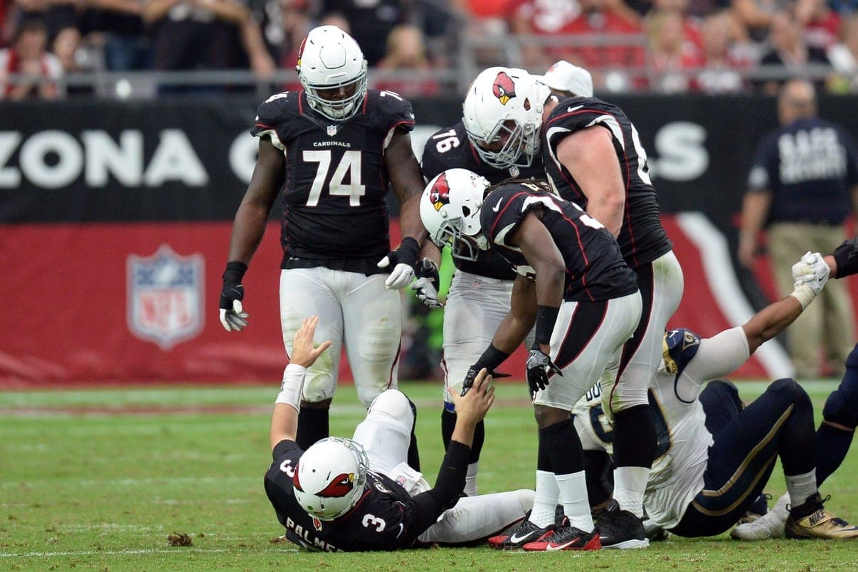 Carson Palmer 