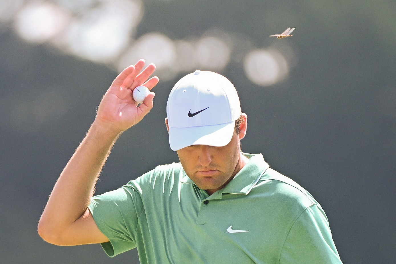PGA: TOUR Championship - Final Round
