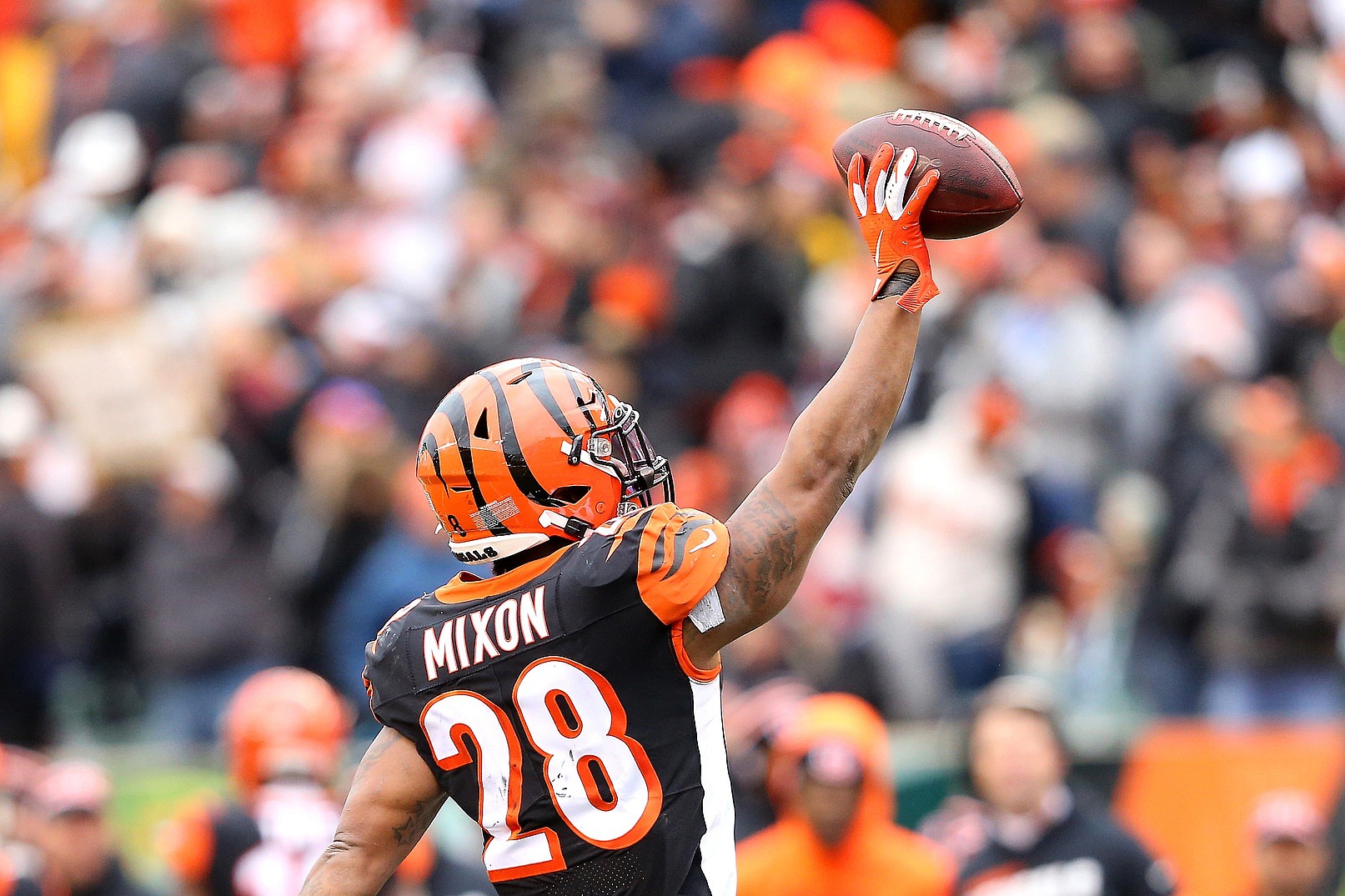 Cincinnati Bengals