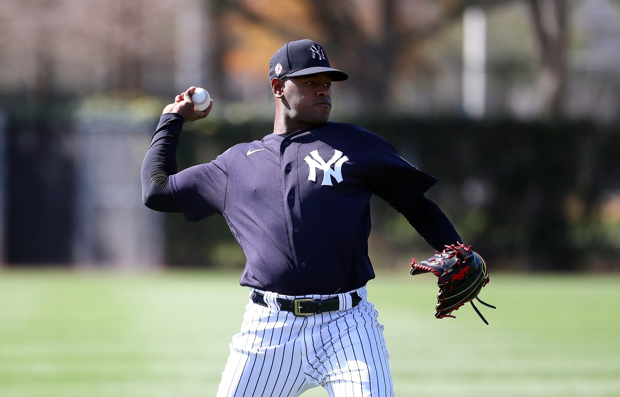 Luis Severino Tommy John Surgery