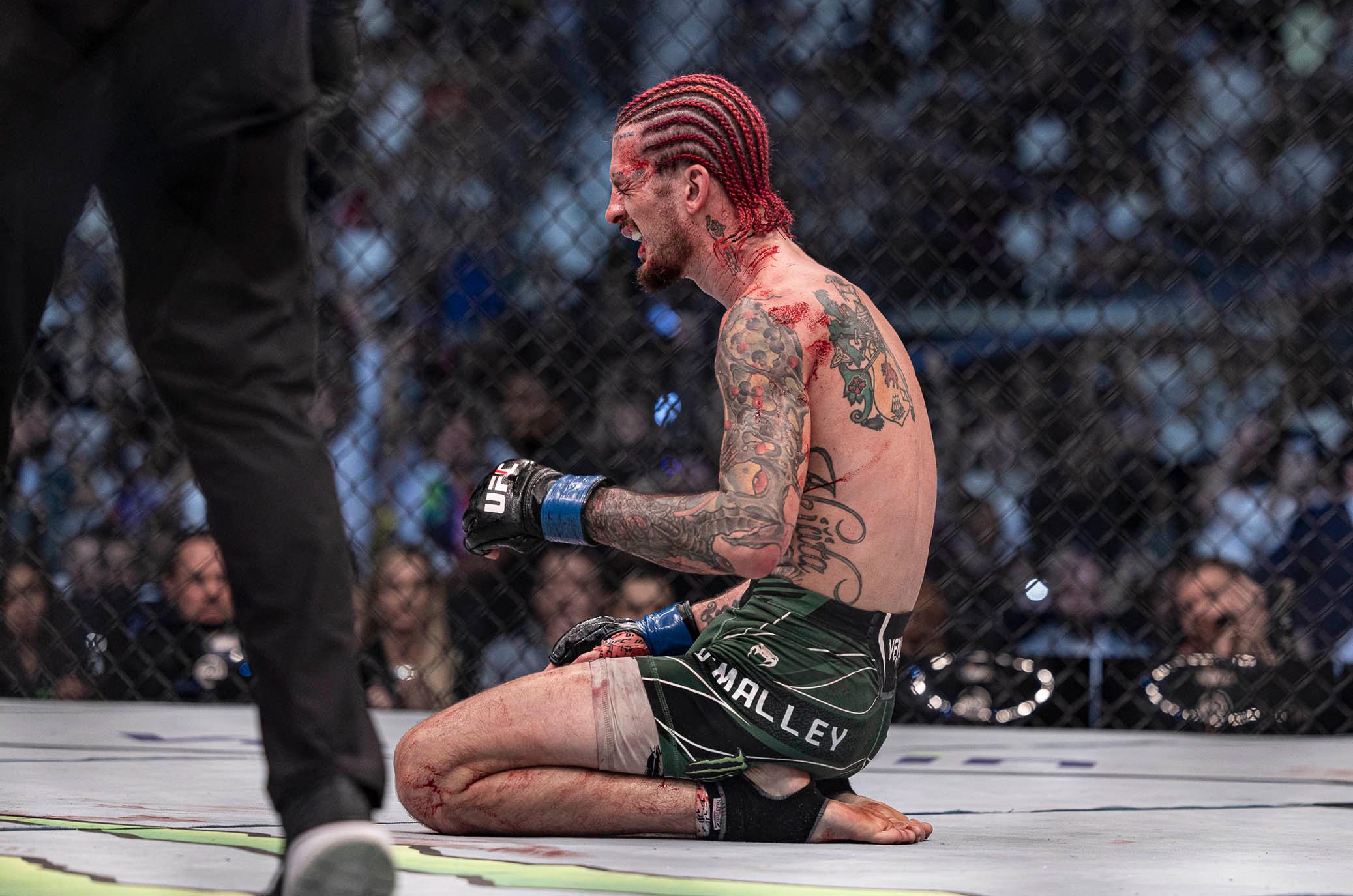 sean o'malley next fight