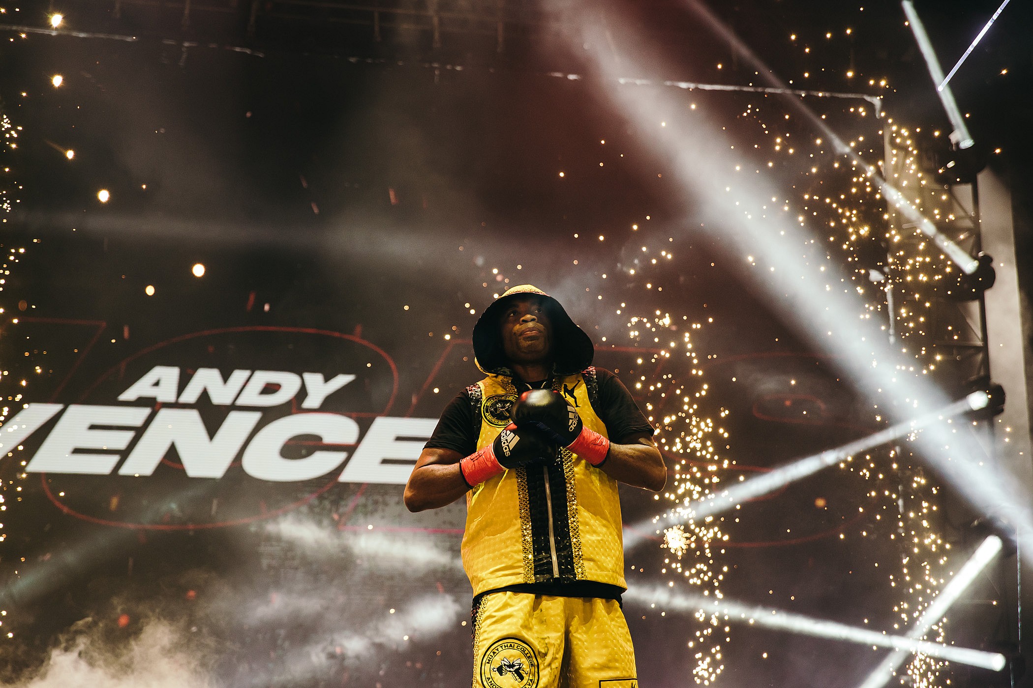 anderson silva, floyd mayweather