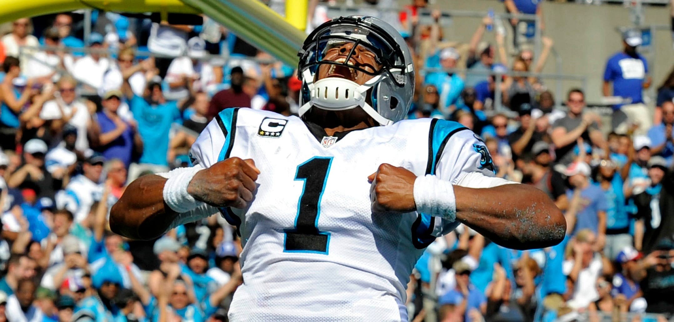 Courtesy of USA Today: Newton's importance to the Panthers cannot be overstated.