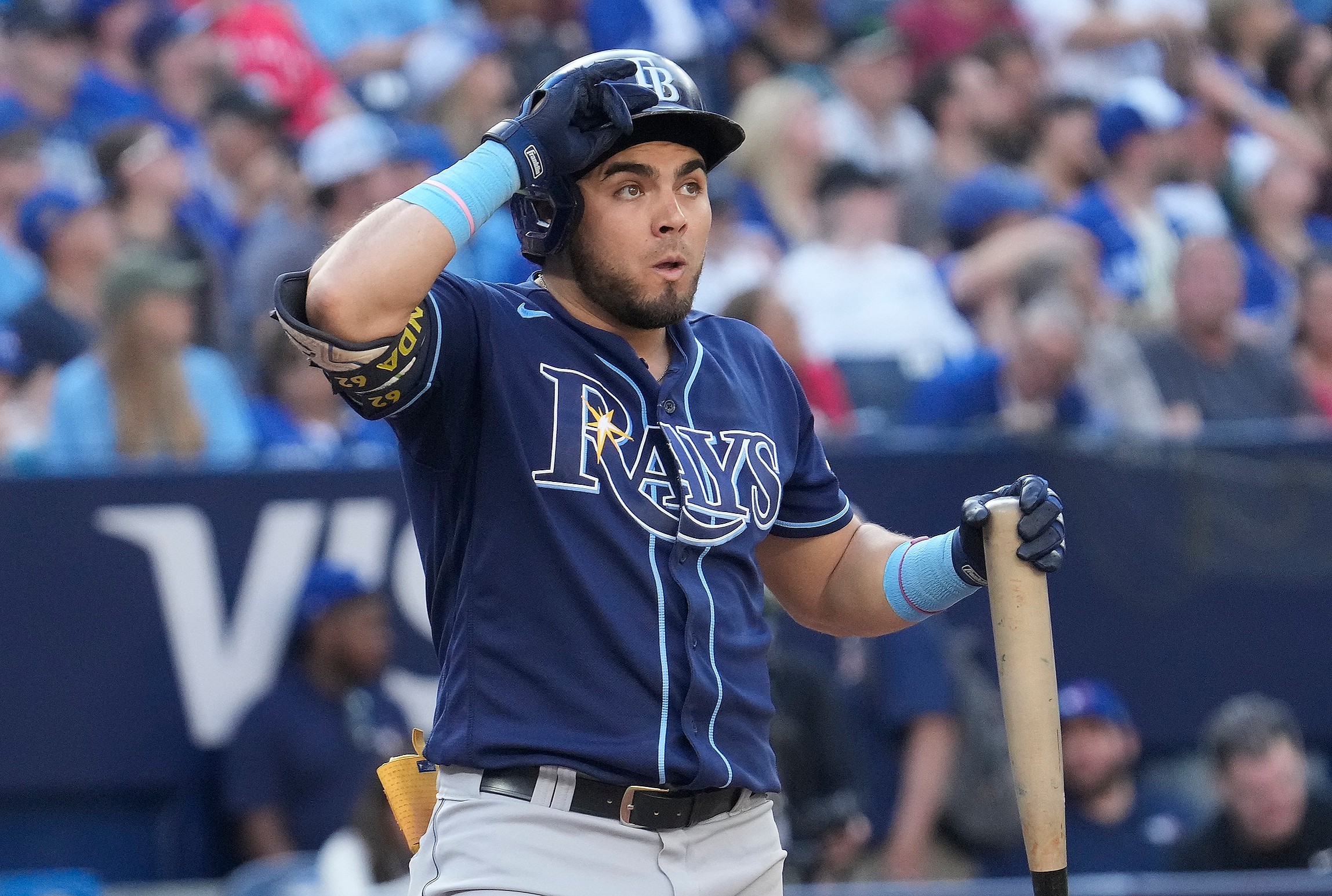 Tampa Bay Rays 