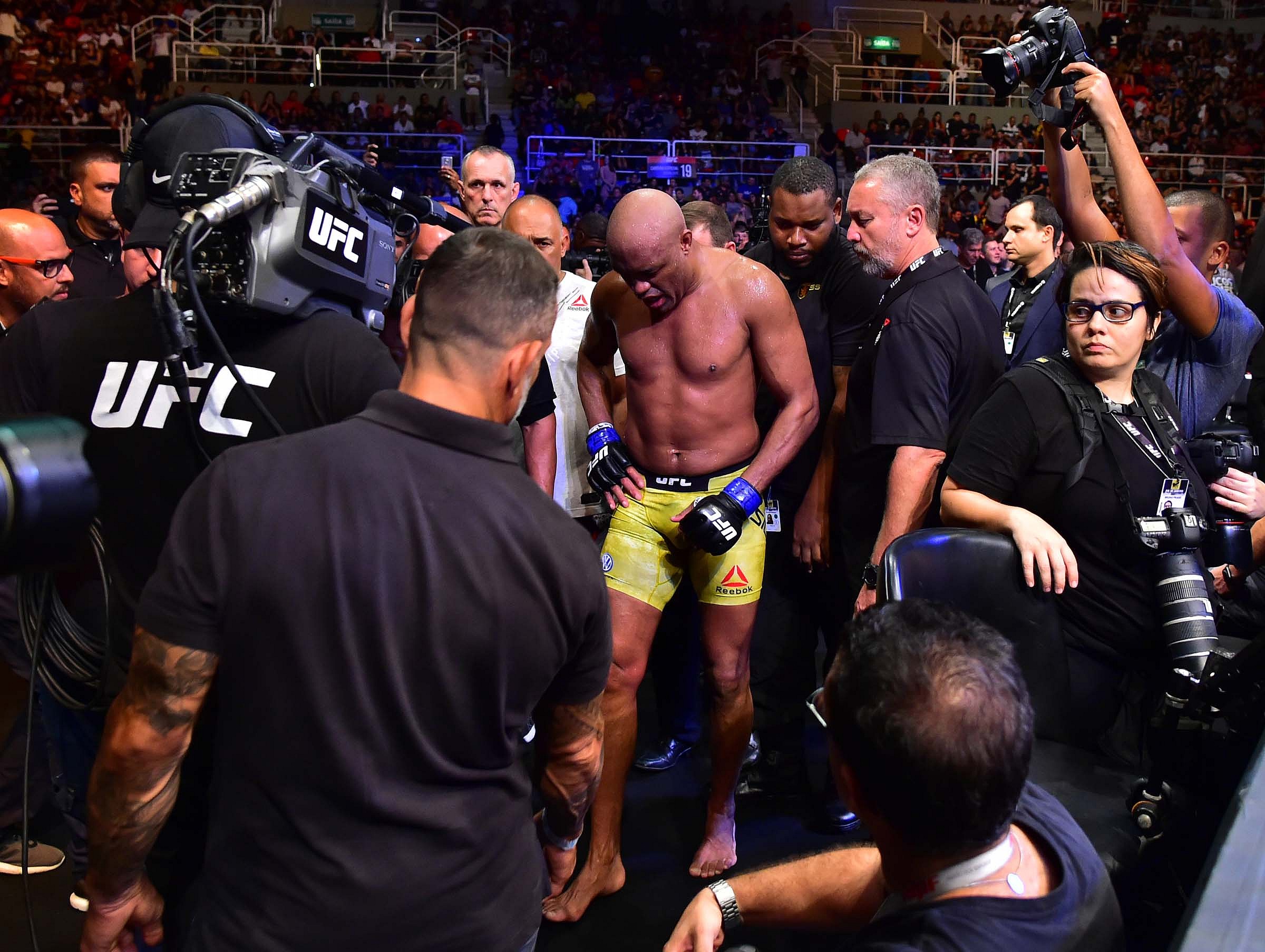 anderson silva, ufc