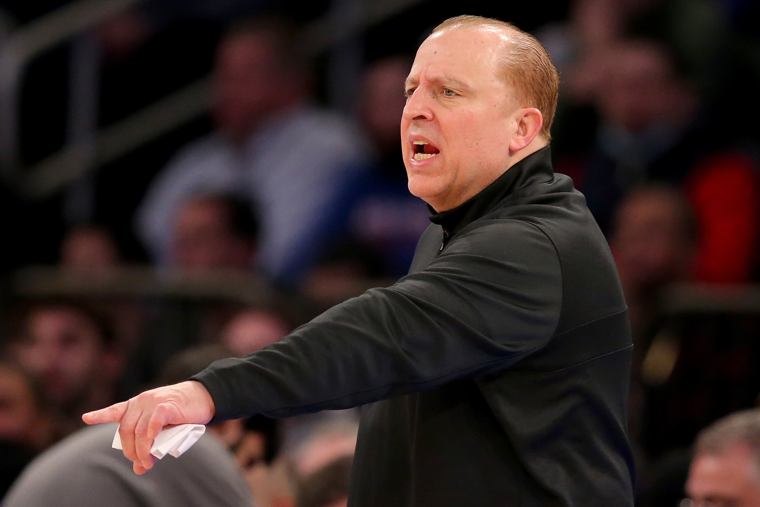 new york knicks, tom thibodeau