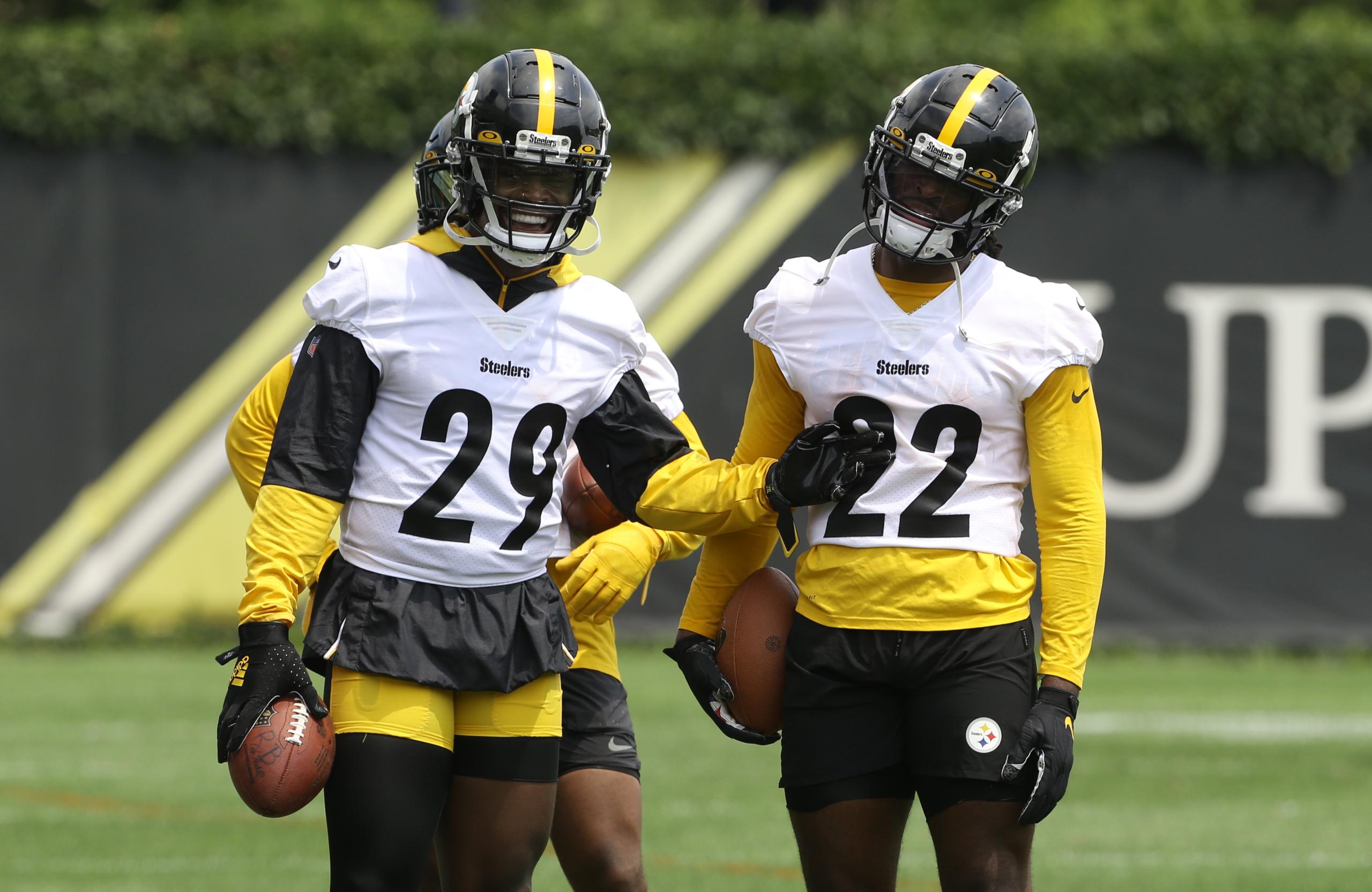NFL: Pittsburgh Steelers Training Camp