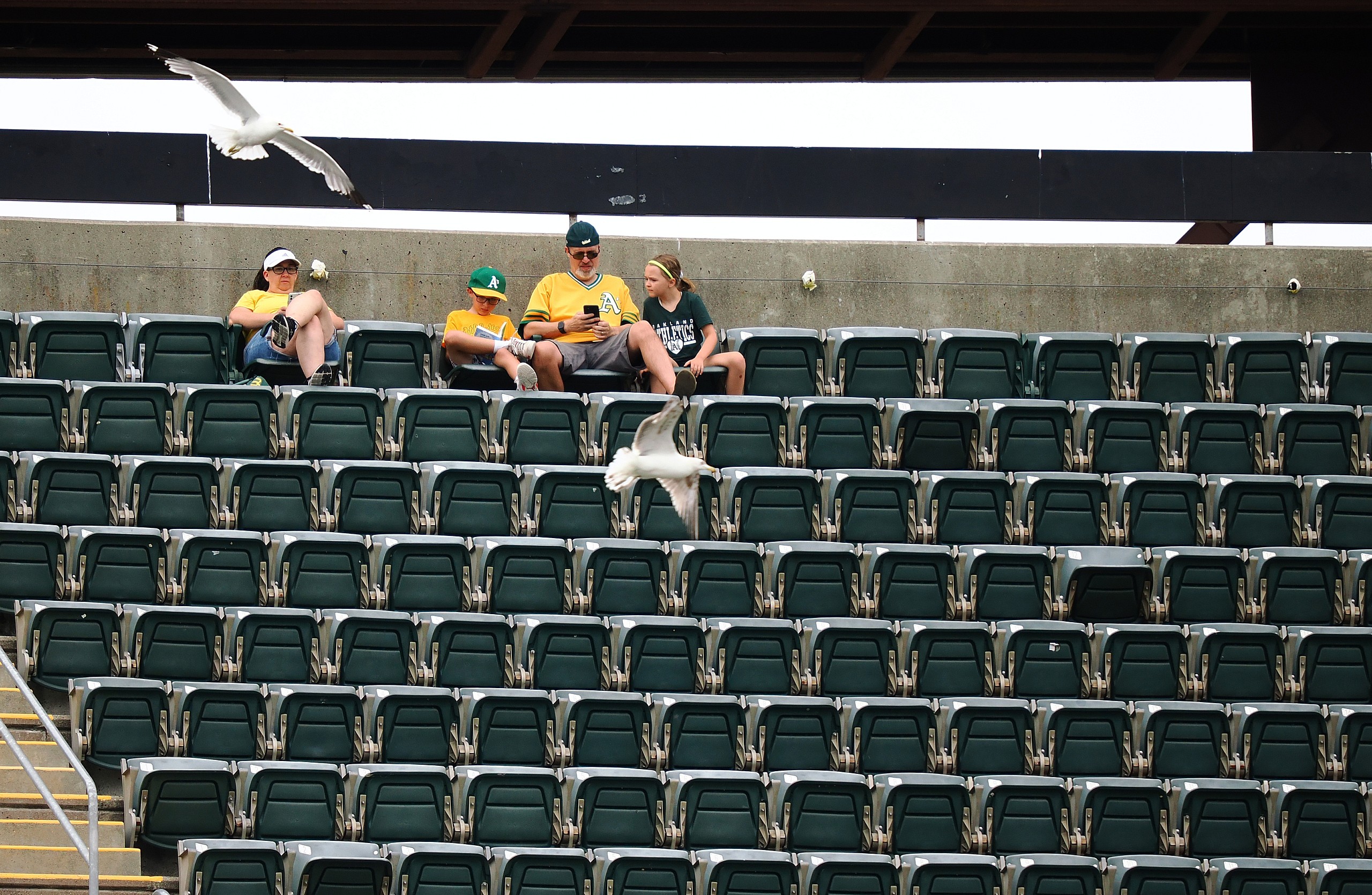 MLB: Boston Red Sox at Oakland Athletics